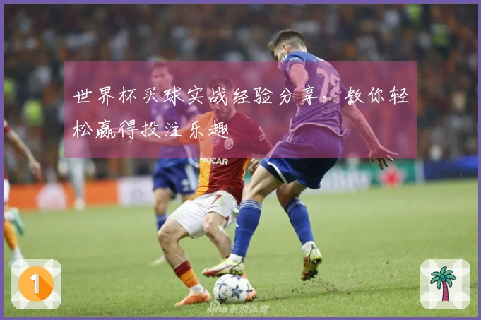 世界杯买球实战经验分享,教你轻松赢得投注乐趣