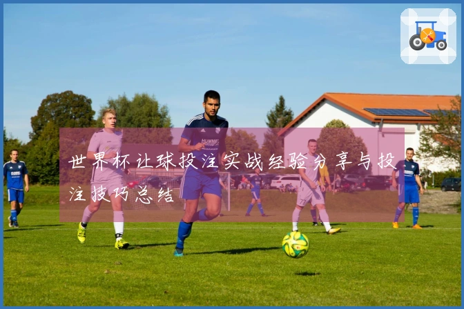 世界杯让球投注实战经验分享与投注技巧总结