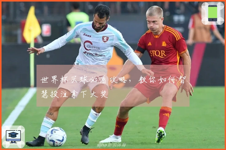 世界杯买球必看攻略，教你如何智慧投注拿下大奖